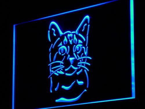 Bengal Cat Pet Shop Breed Gift New Light Sign